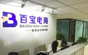 成都百寶教育咨詢 專業(yè)引領(lǐng)，成就未來(lái)教育之路